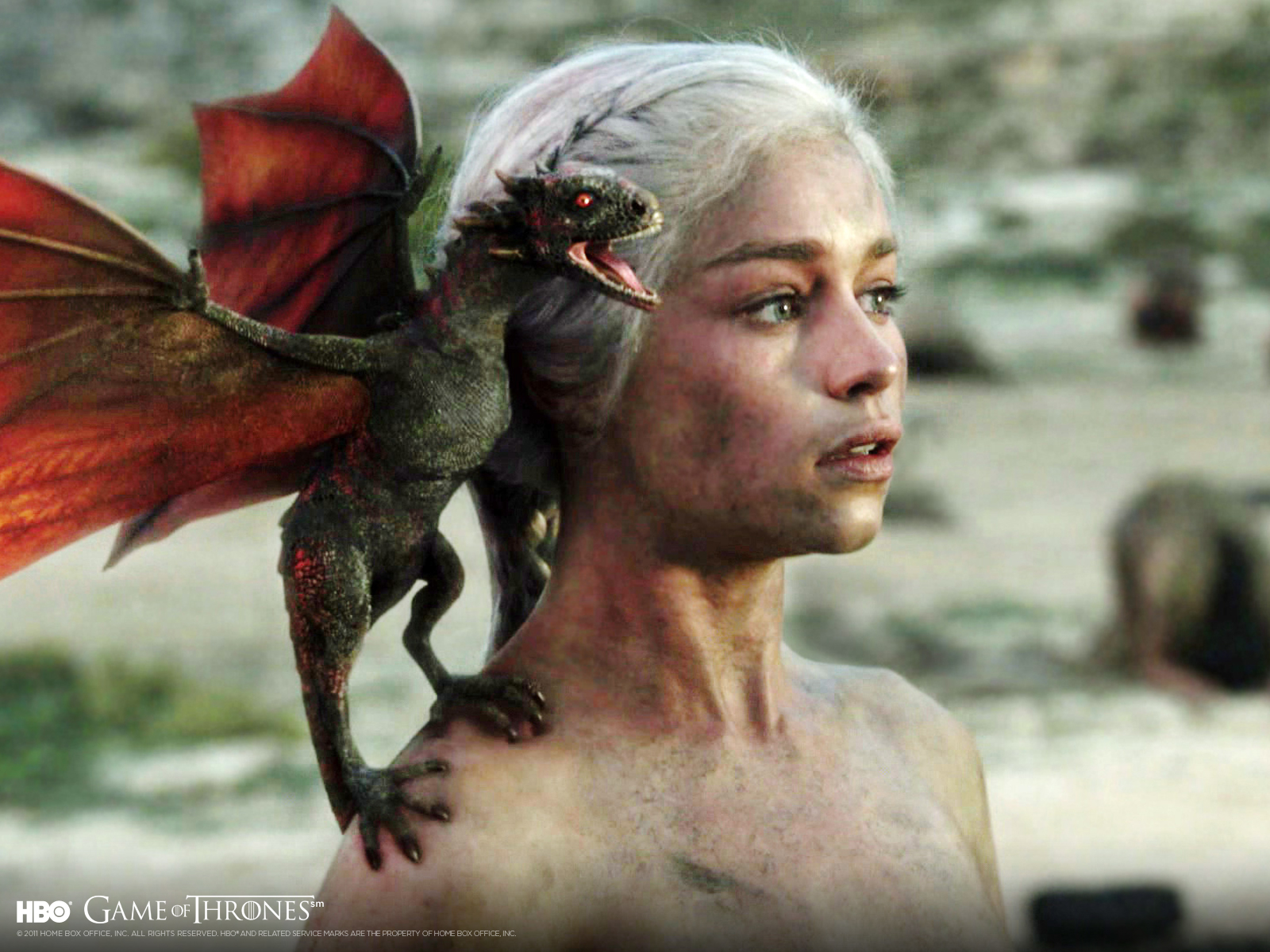 http://1.bp.blogspot.com/-8WmiOUAR3SI/T3Mi9J5P2YI/AAAAAAAAN2g/g5kvDUHX8rI/s1600/wallpaper-daenerys-dragon-1600.jpg