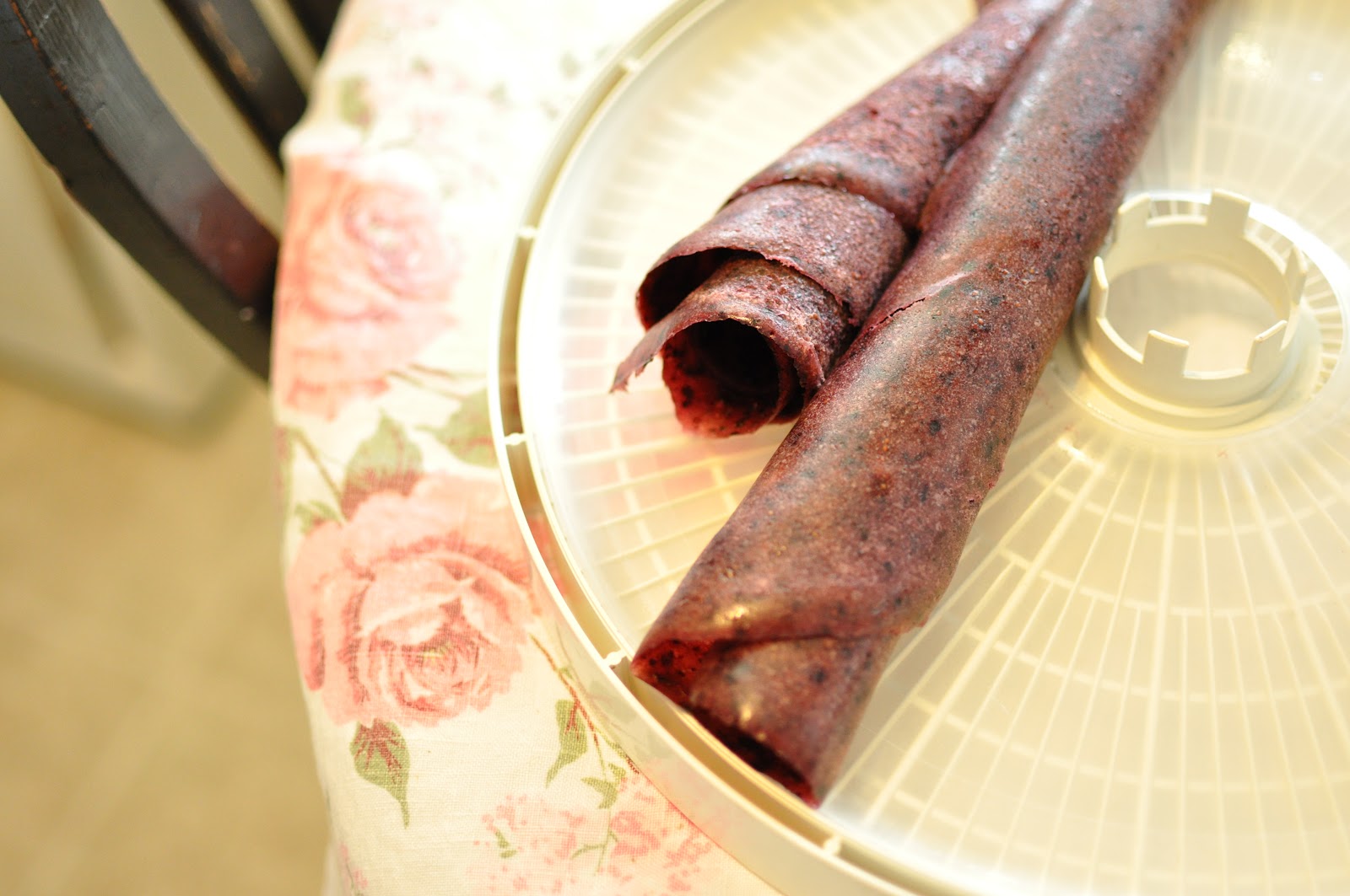Domestic Fashionista Homemade Apple Sauce and Dehydrated Fruit Roll Ups