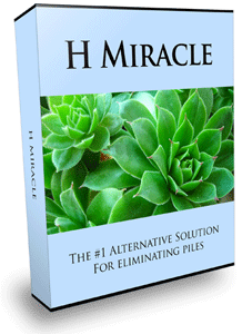 H Miracle by Holly Hayden
