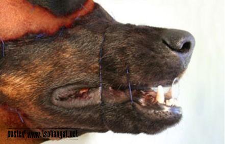 The Ordeal Of My Life March 2011