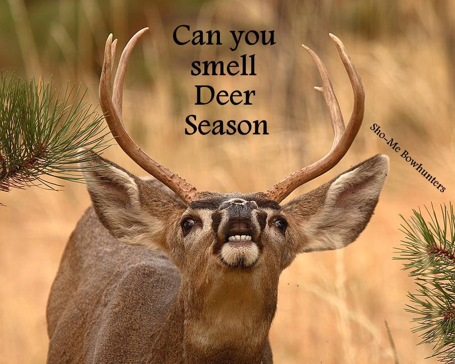 Marian's Hunting Stories, etc., etc., etc... Can You Smell Deer Season?