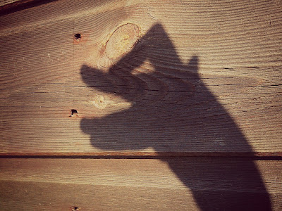 shadow dog