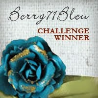 I won the Berry71Bleu challenge!