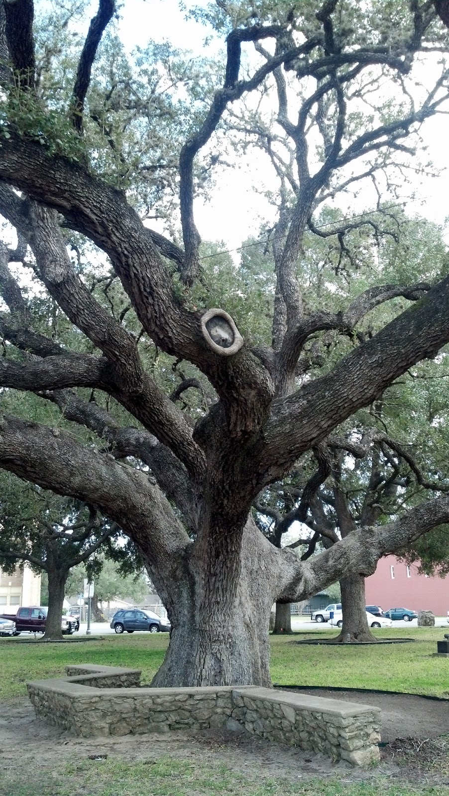 Cook Travelogue 200789 Goliad, TX