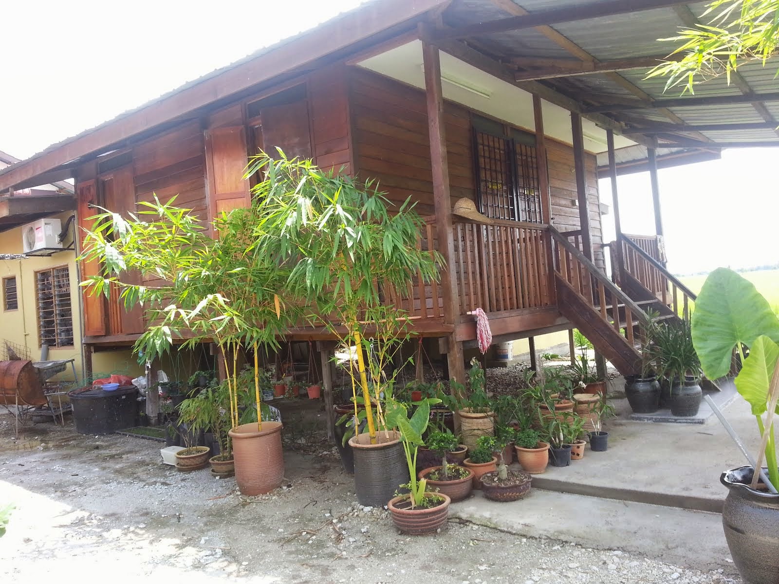 Homestay Teratai 2 dan Teratai 3