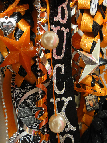 The Domestic Curator: Legendary Homecoming Mum Ideas