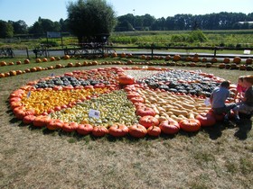 Killepitsch Im Kabuffke Ein Krauterschnaps Erfunden In Einer