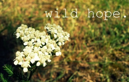 wild hope.