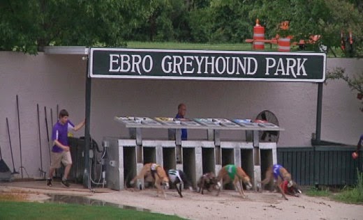 GreyhoundNews: Greyhound Racing Today - Monday May 4, 2015