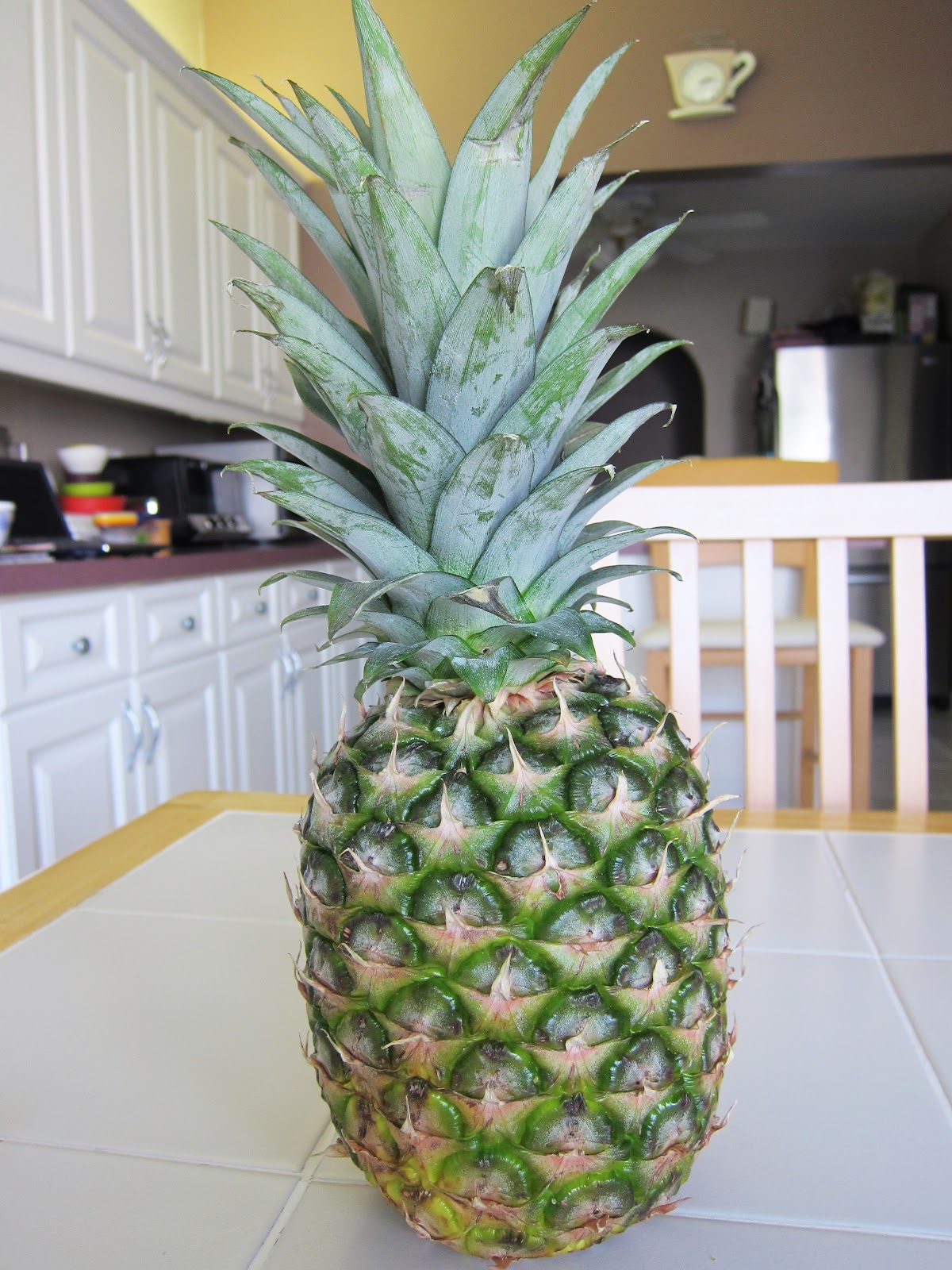 Bloatal Recall Roasted Pineapple Salsa