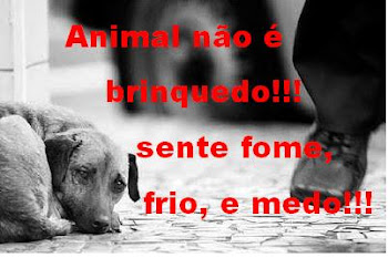 Animais são anjos!