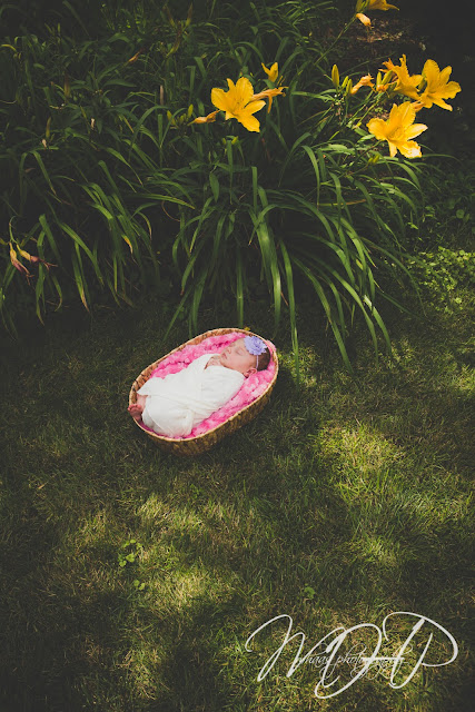 ©2015 MHaas Photography | Louisville, ky, kentucky, newborn, baby girl, newborn photography, pink, portraits, in-home, Lilies