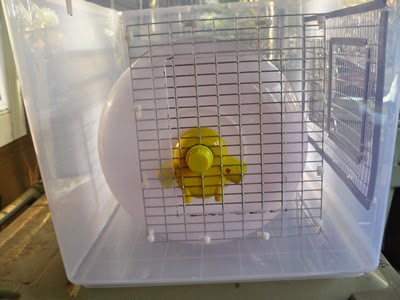 vermin village l hamster