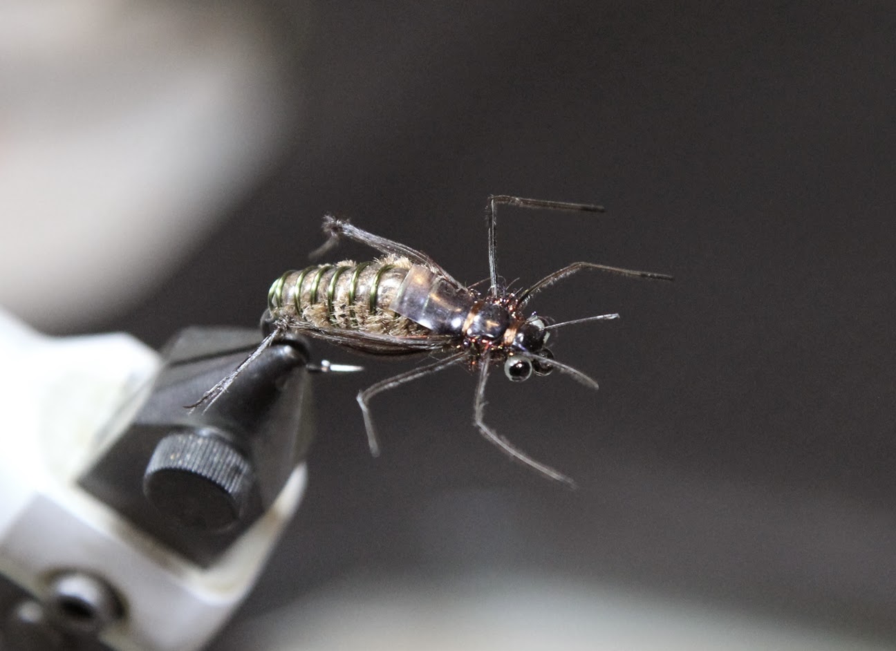 Fly Tying Nation Dragonfly Nymph