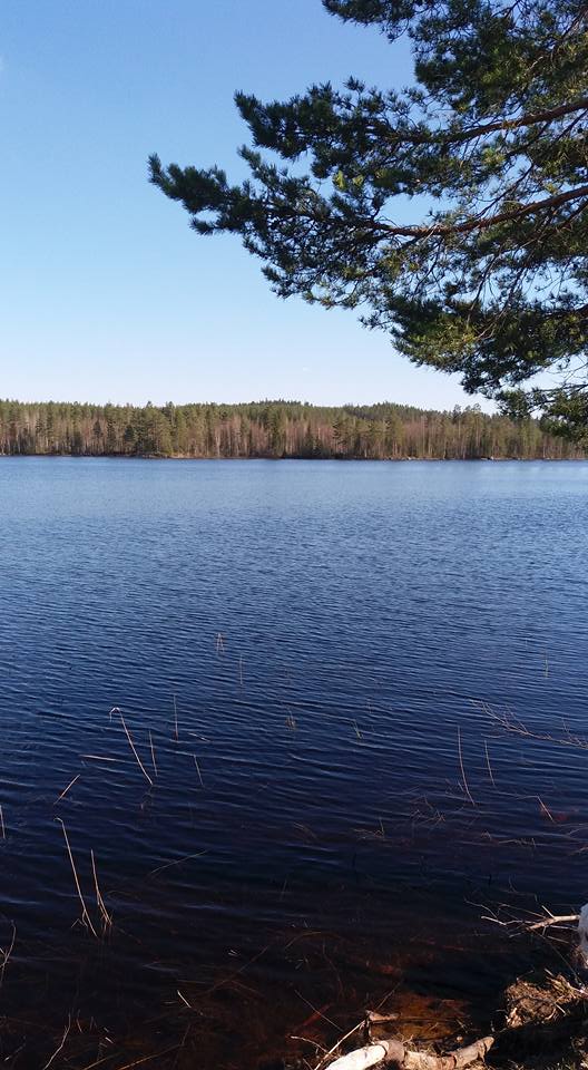 Jukojärveltä