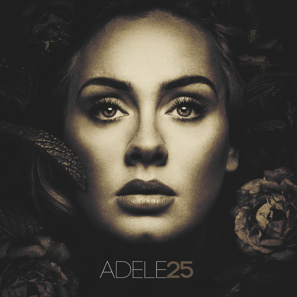 All I Ask Lyrics - Adele