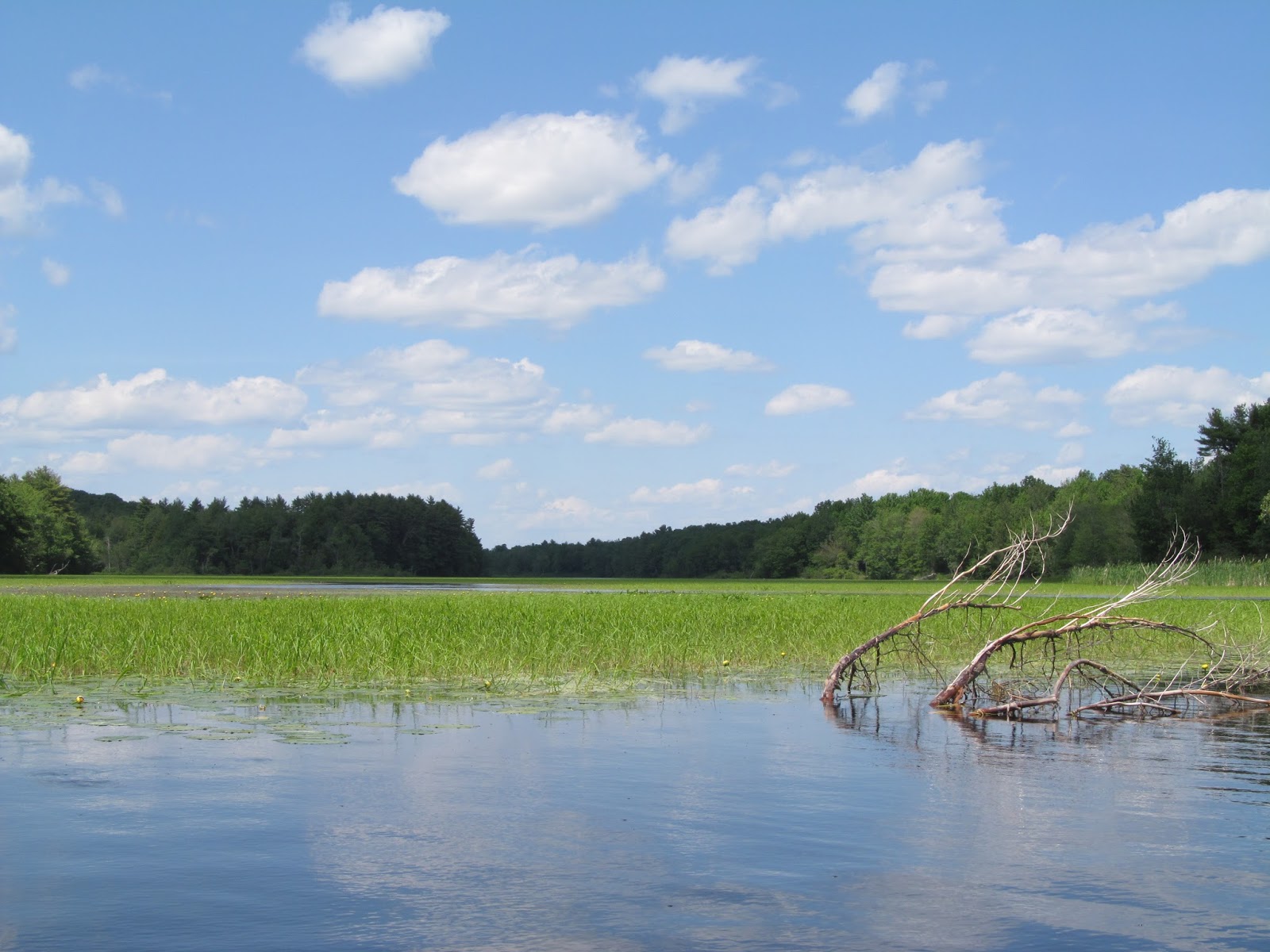 Recreational Kayaking in Maine Upper Pleasant Pond, Richmond, Maine
