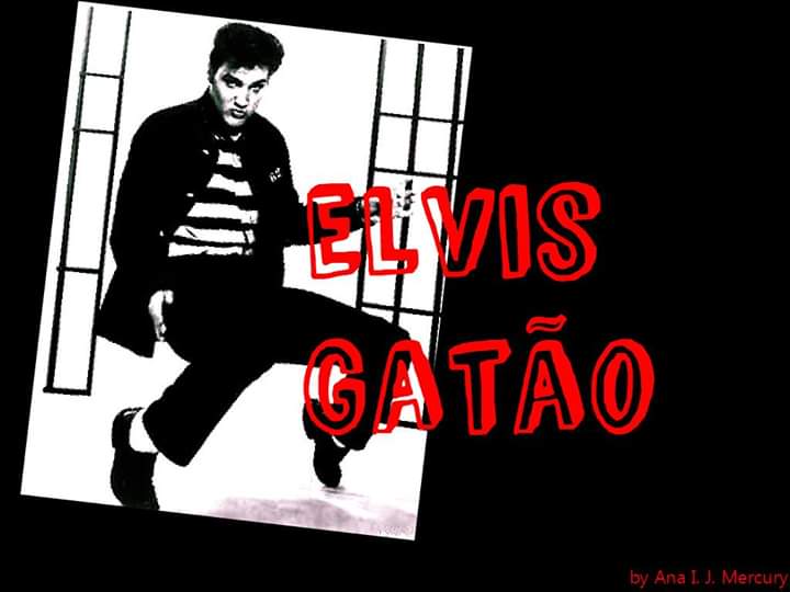 Elvis Gatão