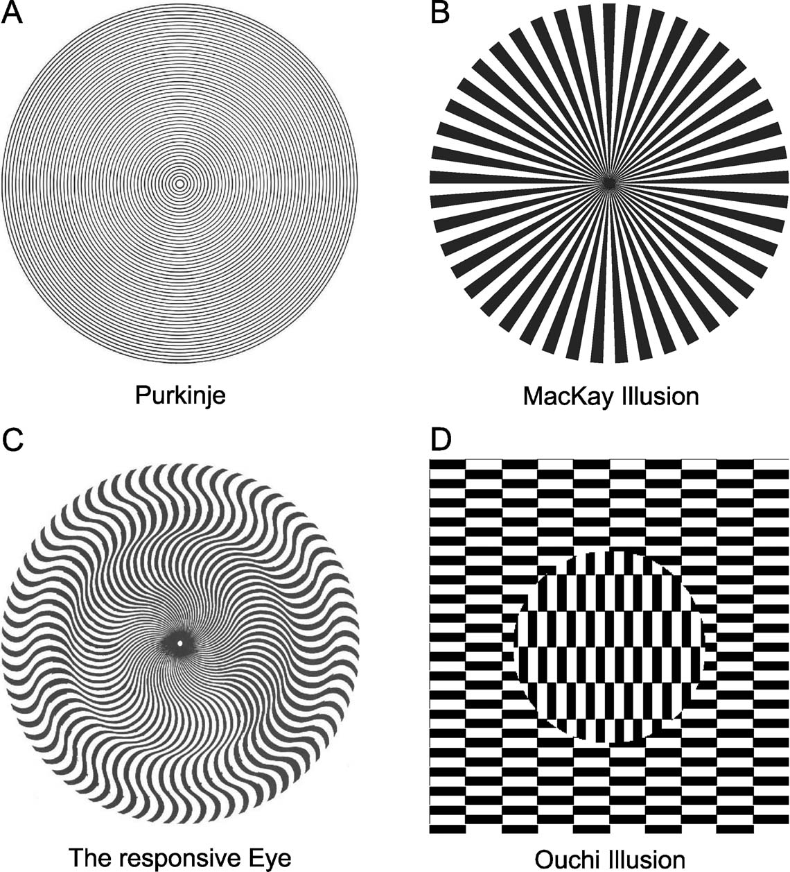 Auditory illusion example picture