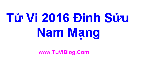 Tu Vi 2016 Dinh Suu Nam Mang
