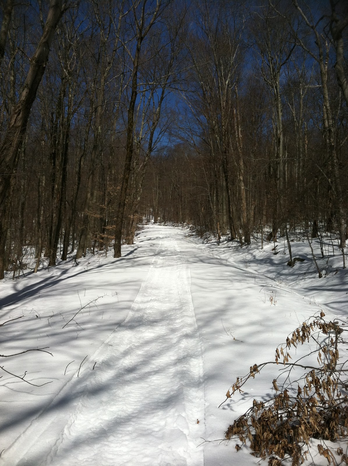 Snowshoeing Around Frick Pond Catskill Mountains, NY 3/7/2012