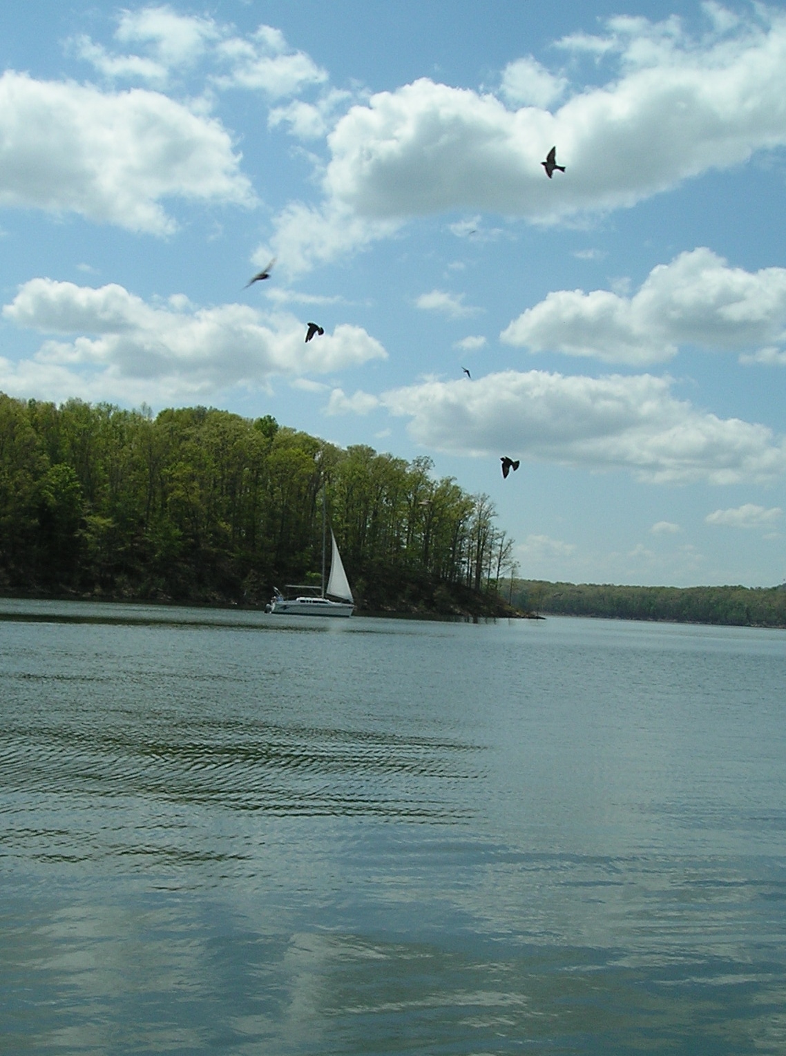 Glamorous Addiction Our Trip to Cave Run Lake in KY Includes Photos