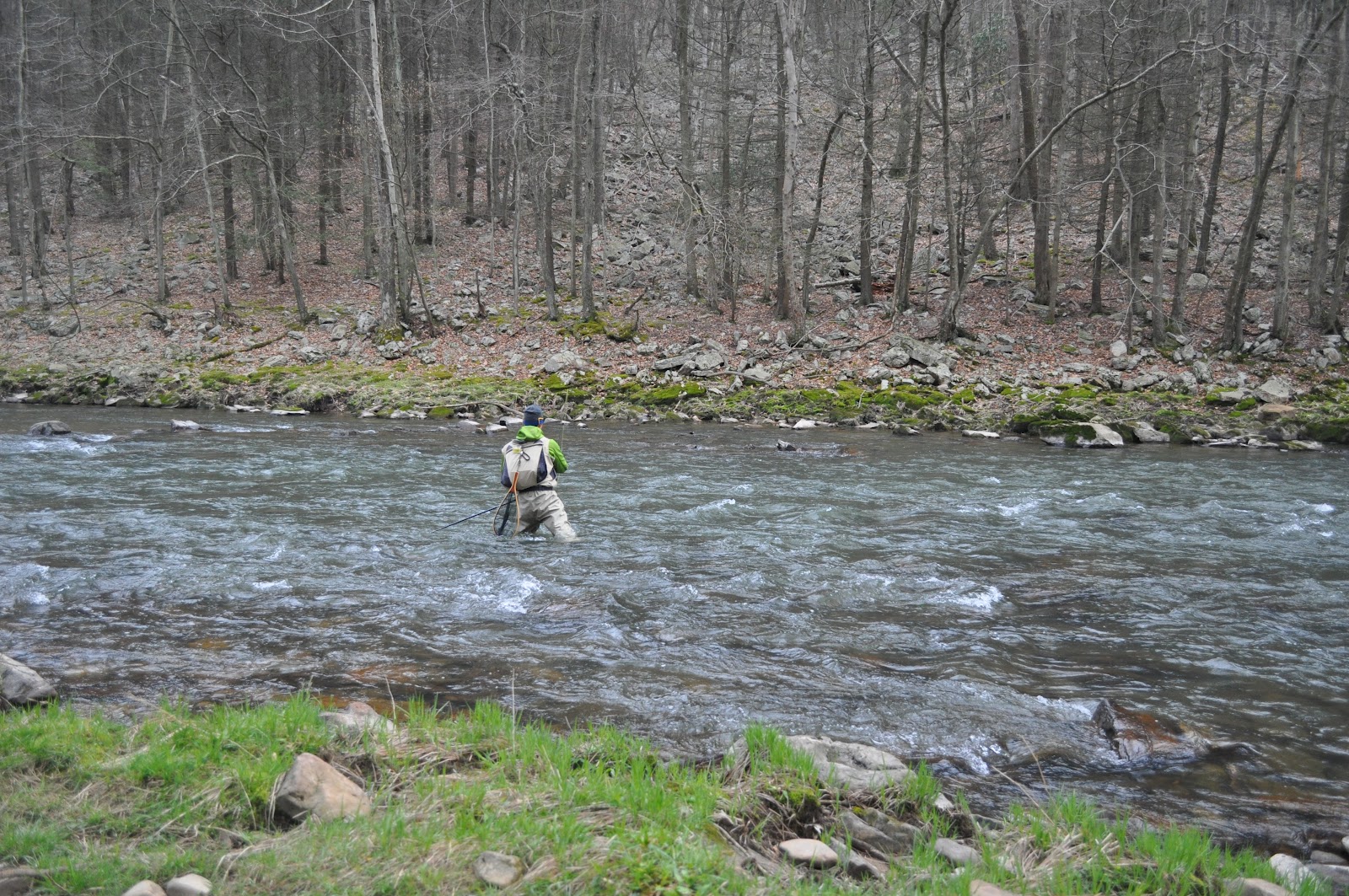Grobe Anglers And Adventures More Penns Creek Pics