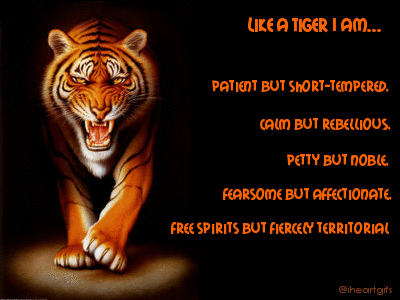 Motivational Tiger Quotes. QuotesGram