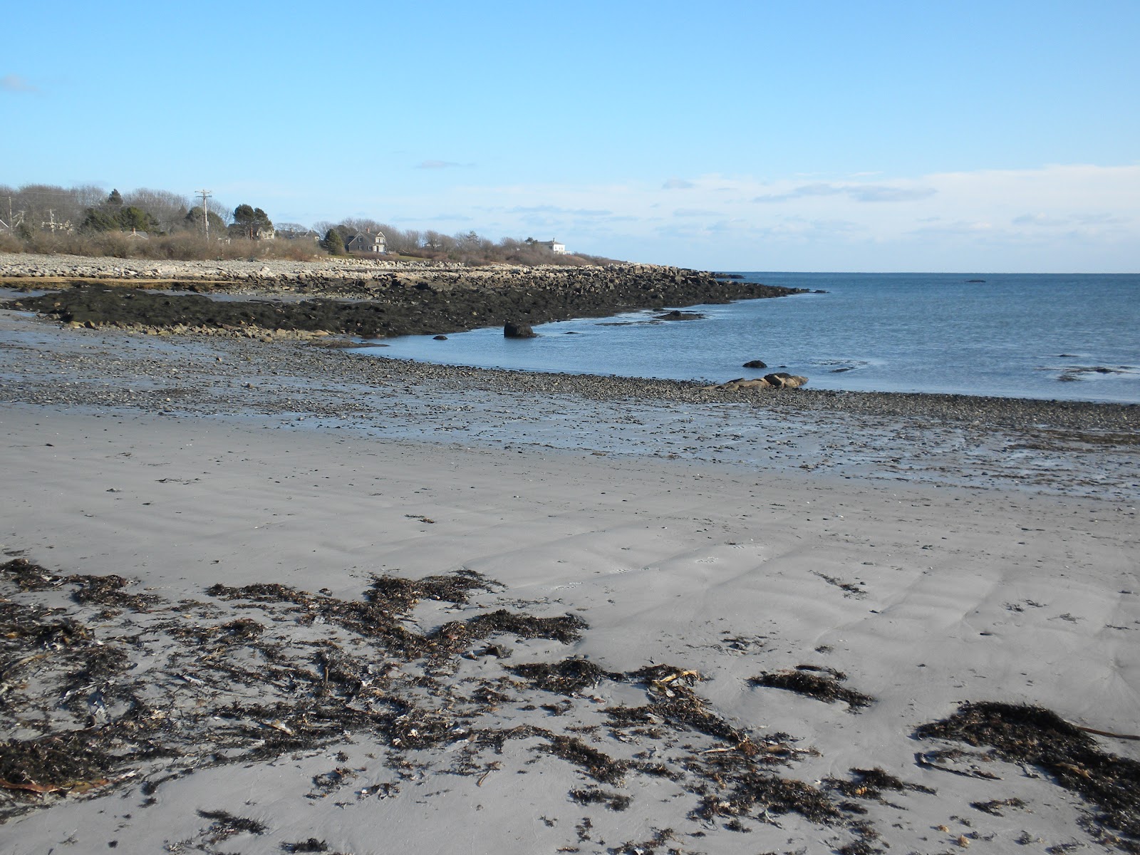 The Flotsam Diaries Introducing Curtis Cove