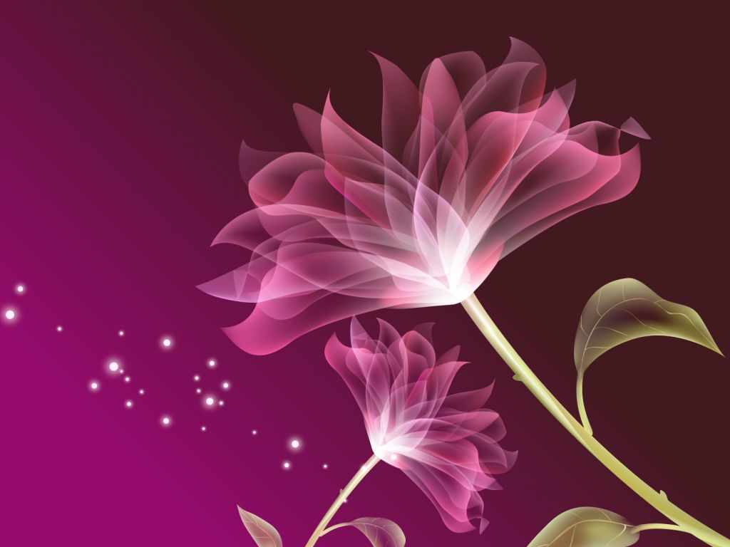 ZOOM DISEÑO Y FOTOGRAFIA: fondos de pantalla de flores,wallpapers flowers
