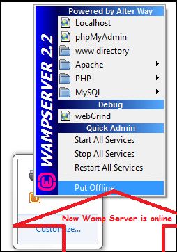 Wampserver Icon