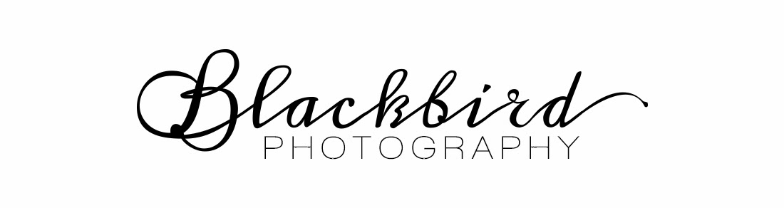 Blackbird Photography 