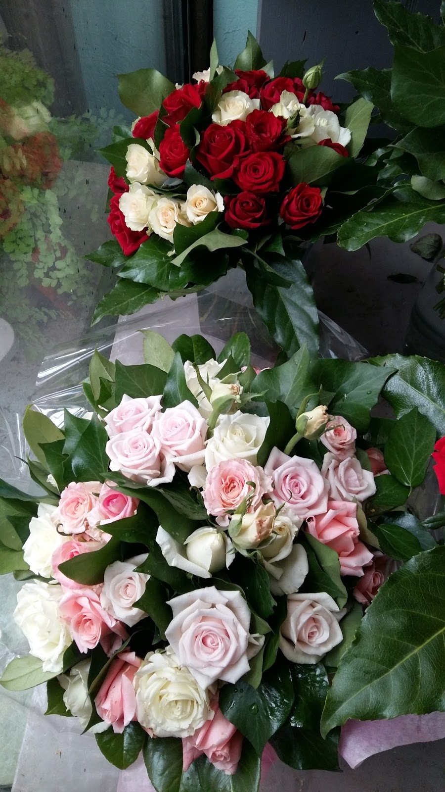 Les Roses De La Prade Juillet 2015