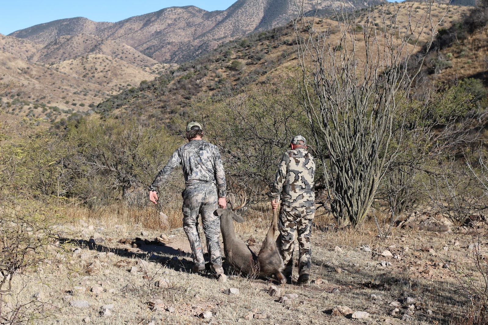 Packing+a+Coues+Deer+out+after+a+successful+hunt+in+Sonora+Mexico+with+Colburn+and+Scott+Outfitters+Photo+and+picture+5.JPG