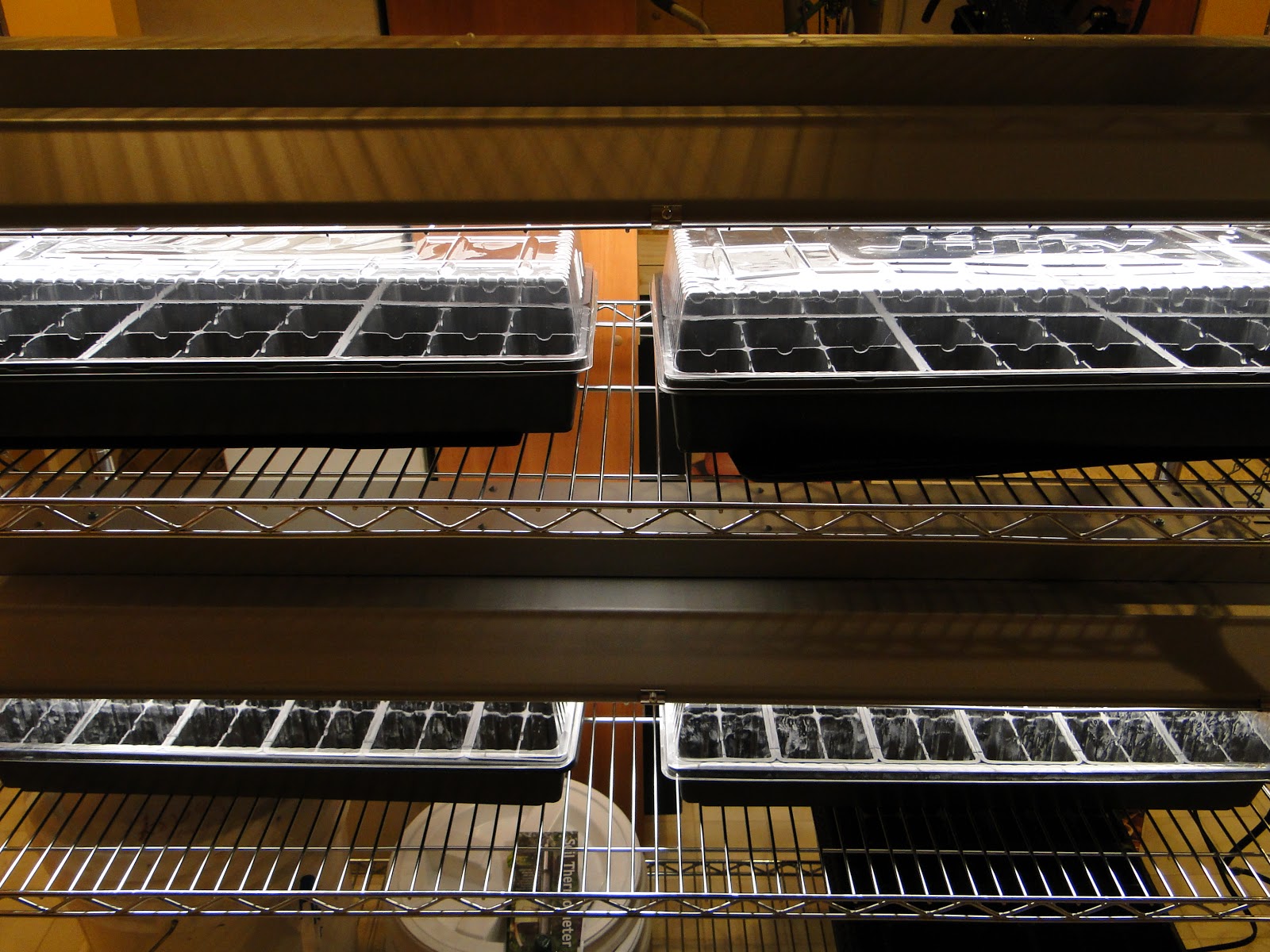 a single feather DoItYourself Grow Light Shelves