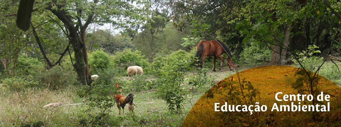 Centro de Educação Ambiental - Fundação Julita