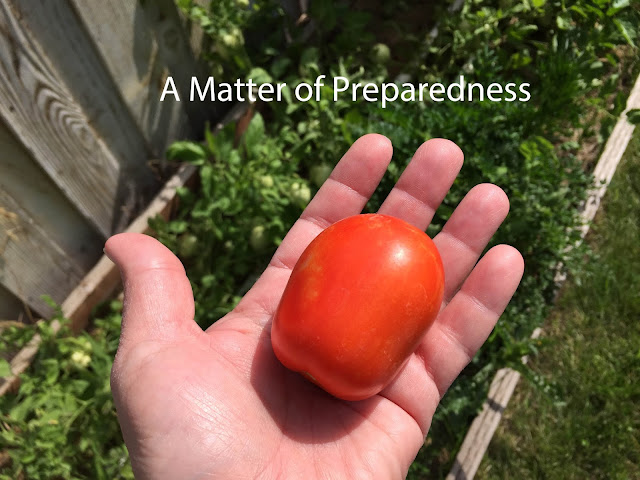 Gardening in a Drought, Vertical Gardening, Old Socks