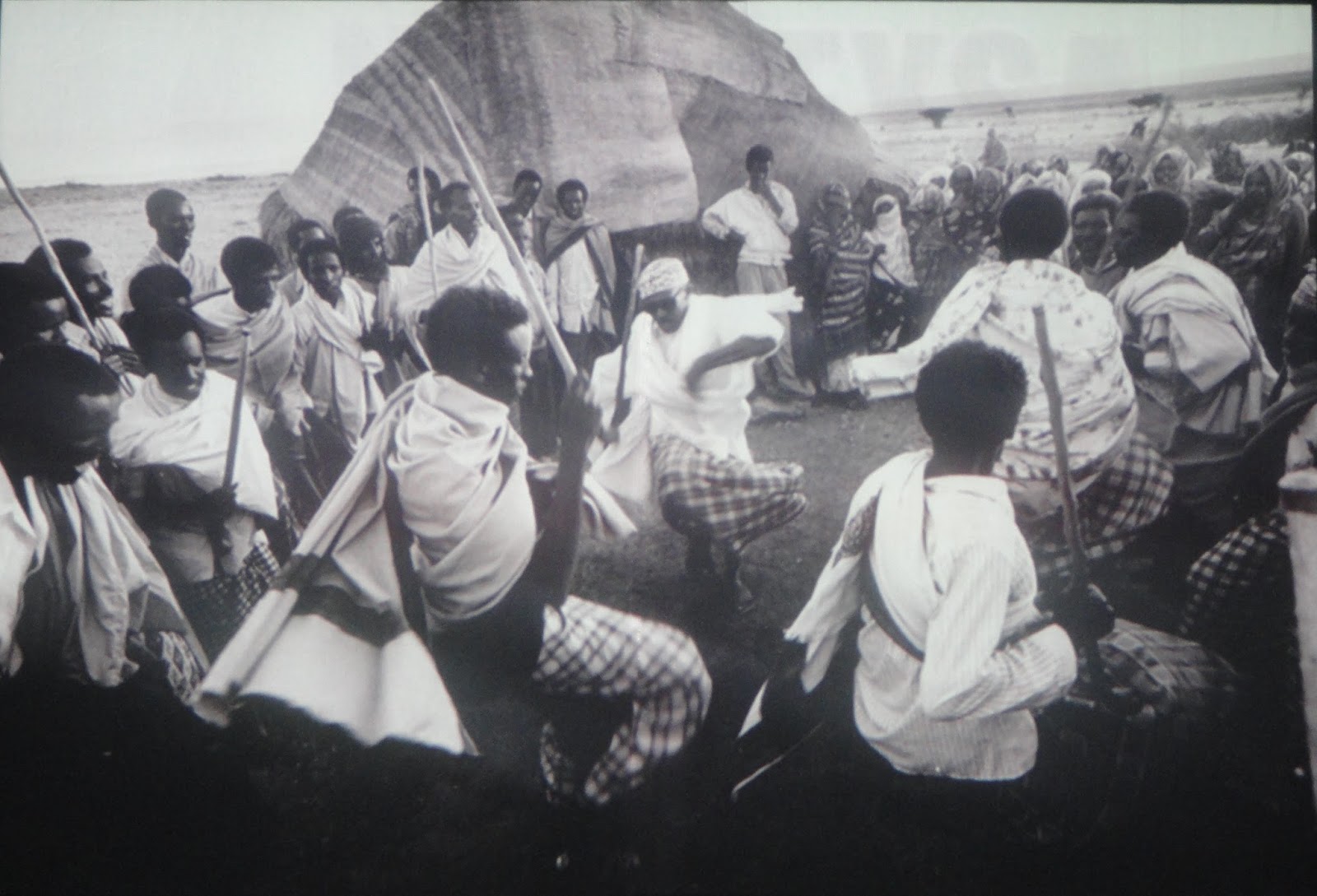 مدونة عواليات أيها الصومالي بماذا تفتخر