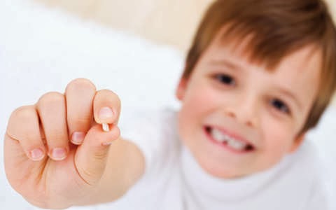 Erros comuns que pais cometem ao arrancar o dente dos filhos Erros comuns que pais cometem ao arrancar o dente dos filhos