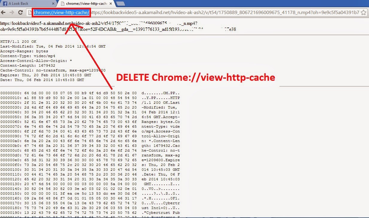 delete view http cache google chrome