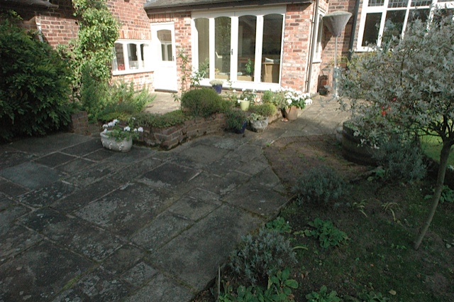 David Andersen Contemporary Garden Design