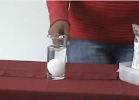 Experimentos Caseros huevo flotante densidades