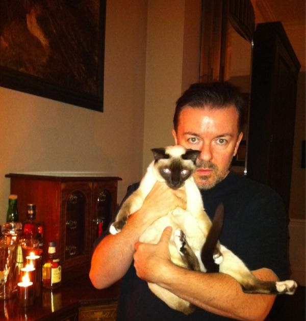 Catsparella Ricky Gervais Loves His Cat And Doesn't Care Who Knows It