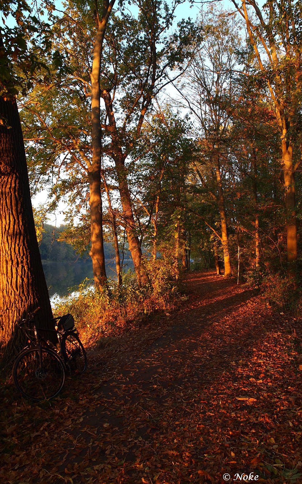 Herbst_2019