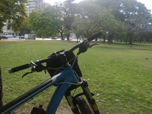 EN LOS BOSQUES DE PALERMO