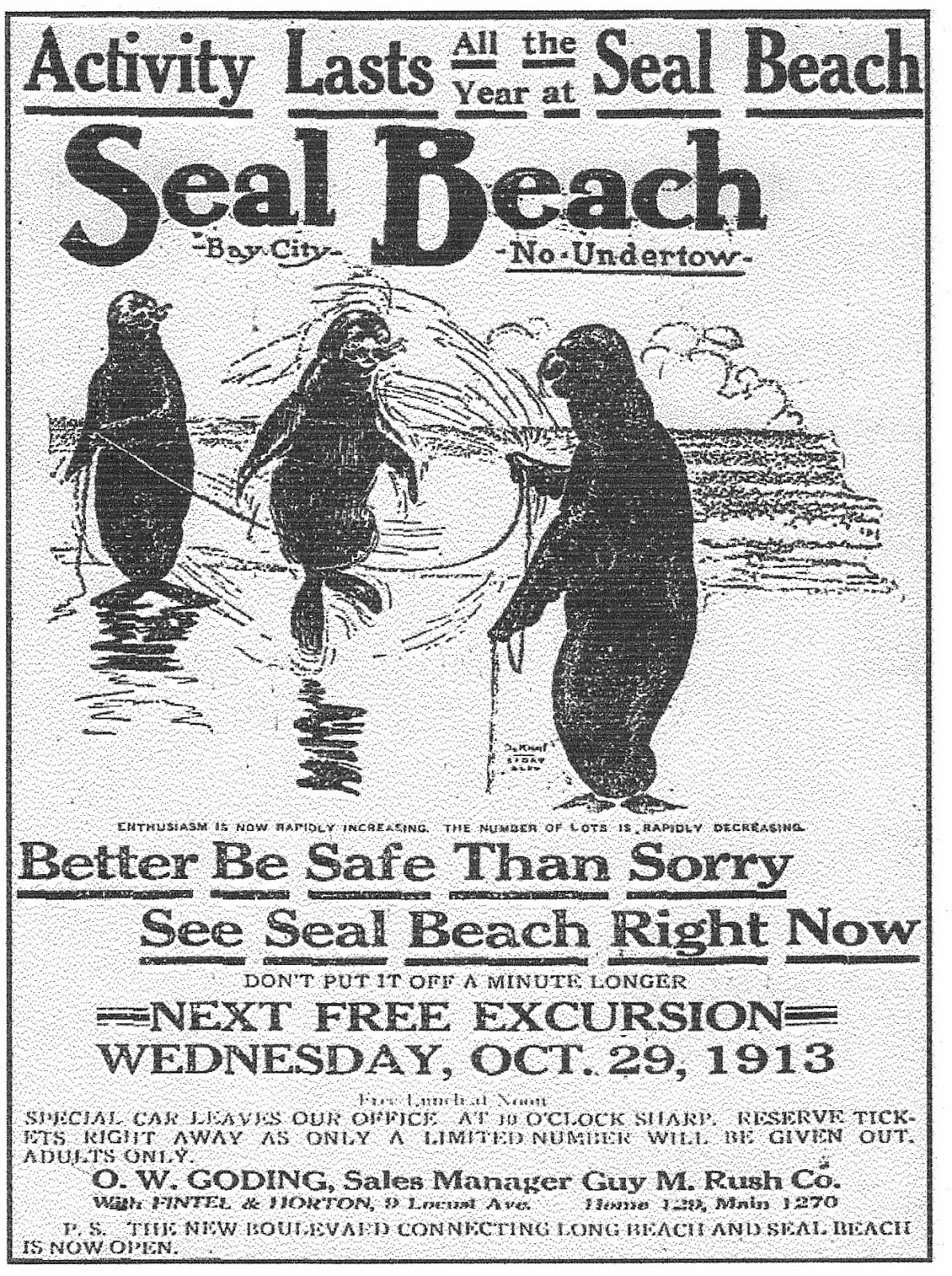 Seal beach gambling
