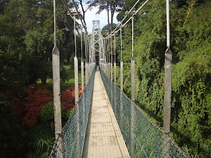 Bridge over Mahaweli river in Peradeniya botanic garden.