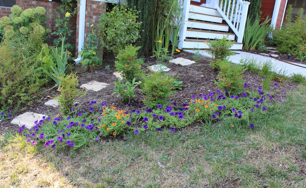 Red House Garden Waving Petunias