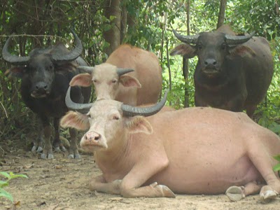 You Have No Faith April 2011