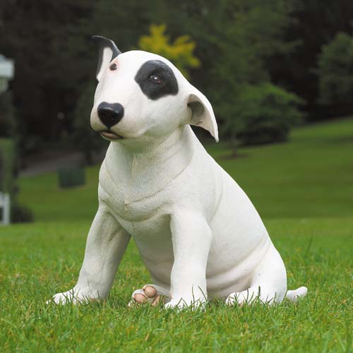 puppy pictures and gallery english bull terrier puppy puppy pictures and gallery english bull terrier puppy